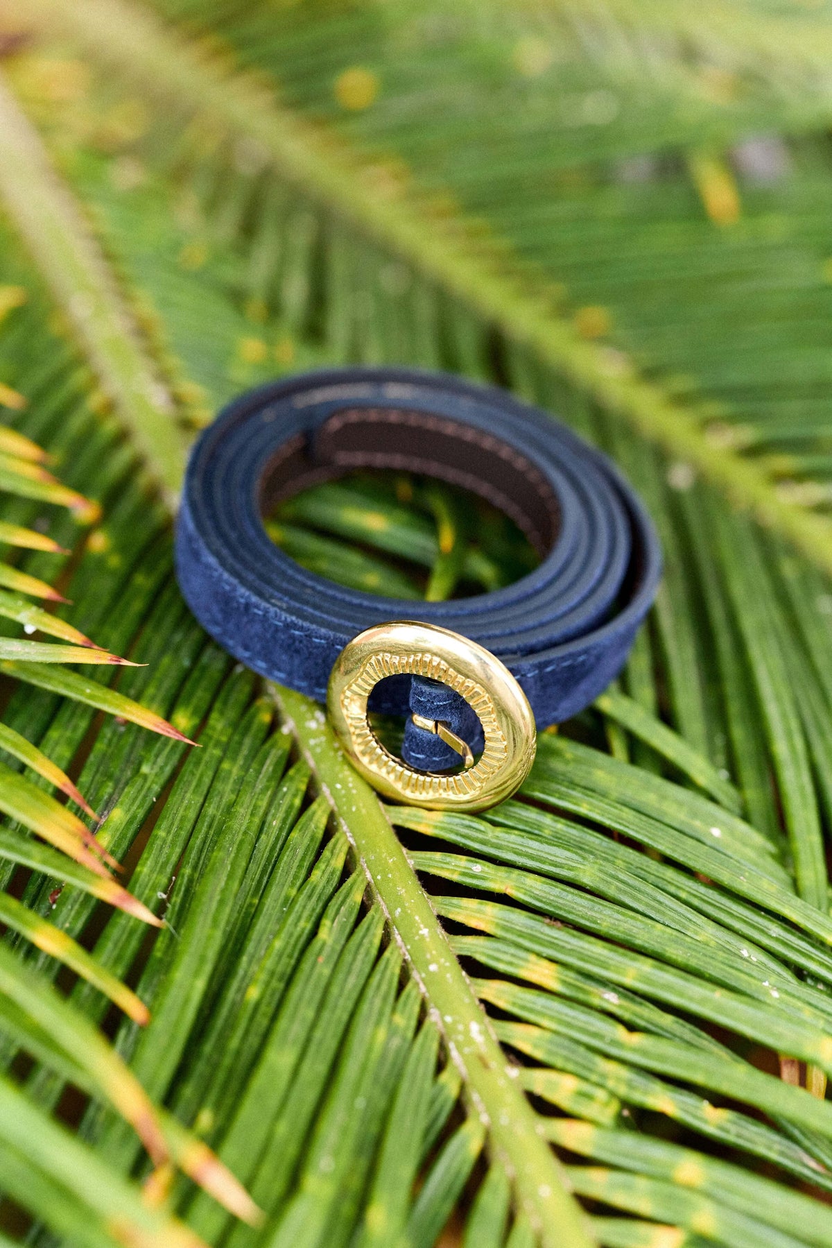 Ceinture marine - Arlowa